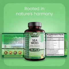 NaturaLife Labs etiqueta de certificado GMP que indica control de calidad y seguridad