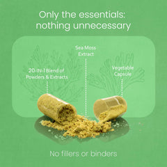 NaturaLife Labs polvo de sea moss en primer plano destacando origen marino natural