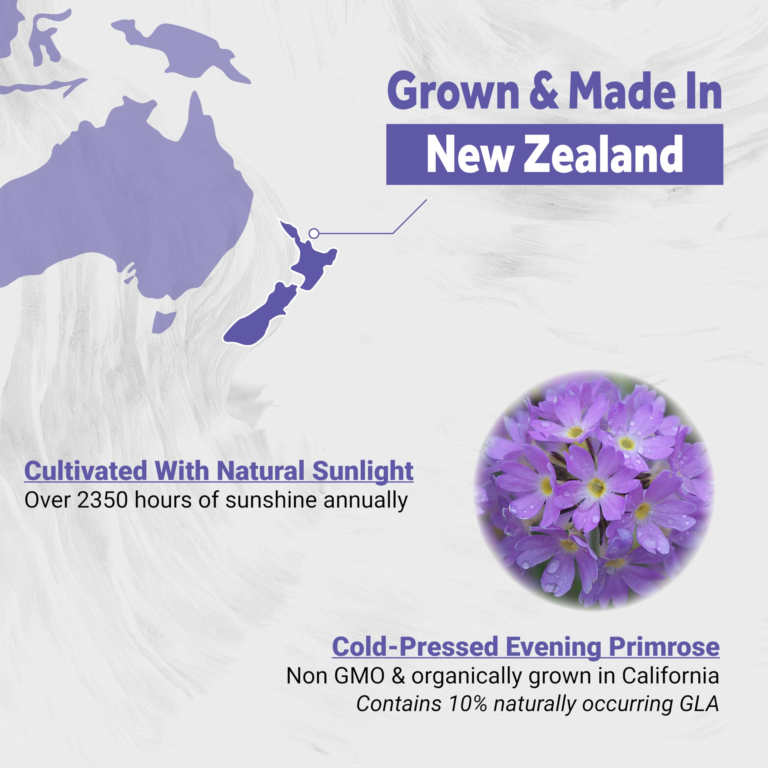 Naturalis comparación de tamaño con moneda para ver cantidad por cápsula