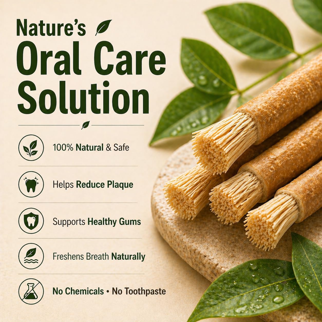 NaturalMiswak detalle de fibra masticada mostrando textura y suavidad