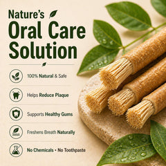 NaturalMiswak detalle de fibra masticada mostrando textura y suavidad