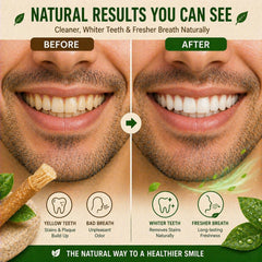 NaturalMiswak extremo preparado con cerdas, listo para cepillar