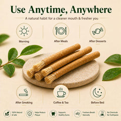 NaturalMiswak comparación de tamaño junto a una moneda para escala