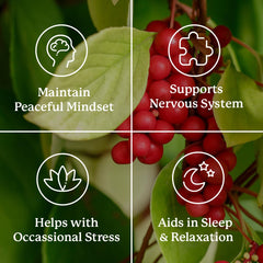 Nature's Sunshine etiqueta Nutri-Calm con lista de ingredientes y vitaminas visibles