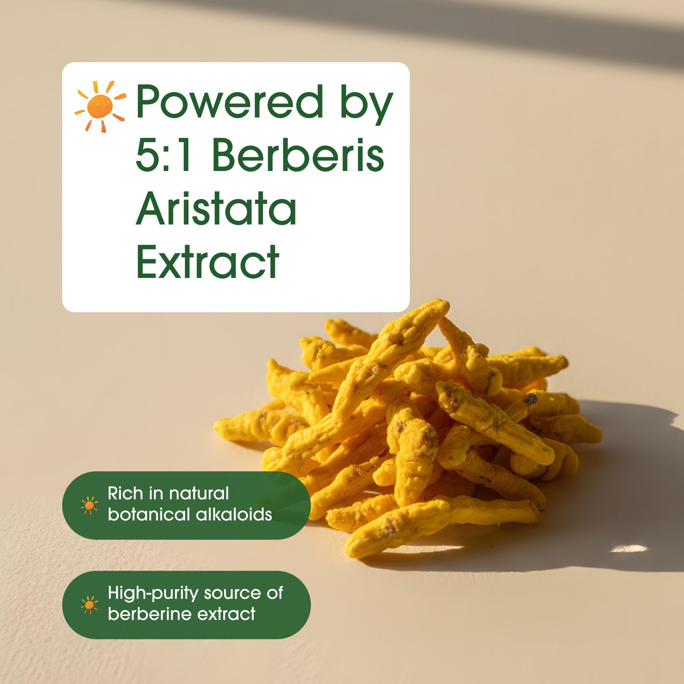 NatureBell raíz de Berberis aristata y cápsulas que evidencian origen botánico