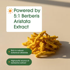 NatureBell raíz de Berberis aristata y cápsulas que evidencian origen botánico