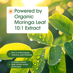 NatureBell cápsula abierta mostrando contenido de moringa y claridad de ingredientes