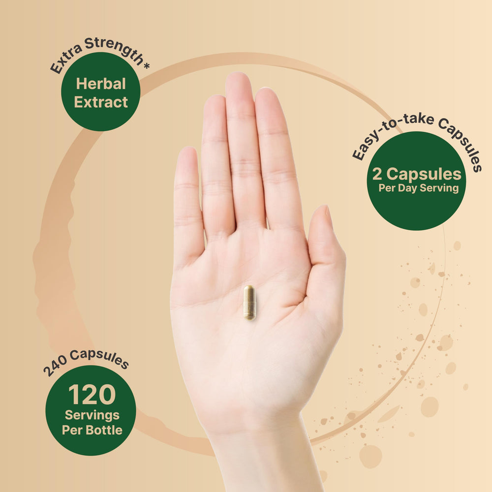 NatureBell frasco junto a objetos cotidianos para escala y ahorro