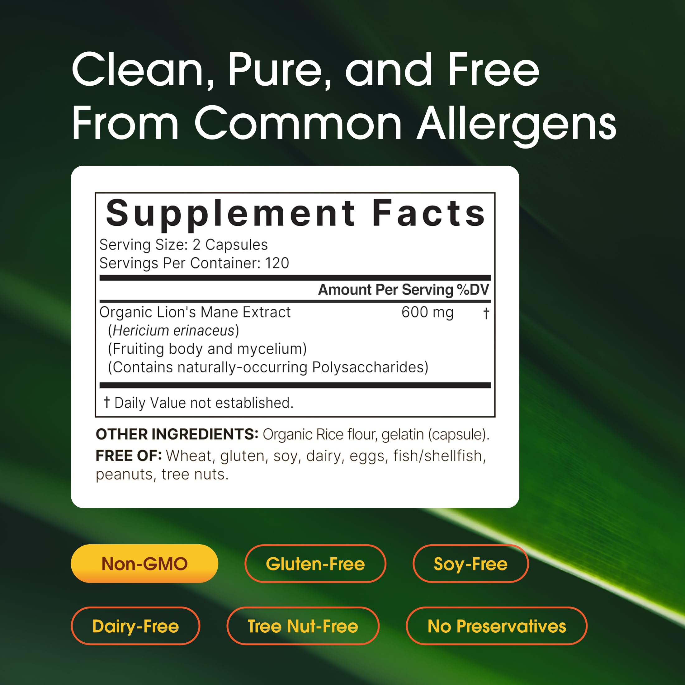 NatureBell textura del polvo del extracto demostrando pureza
