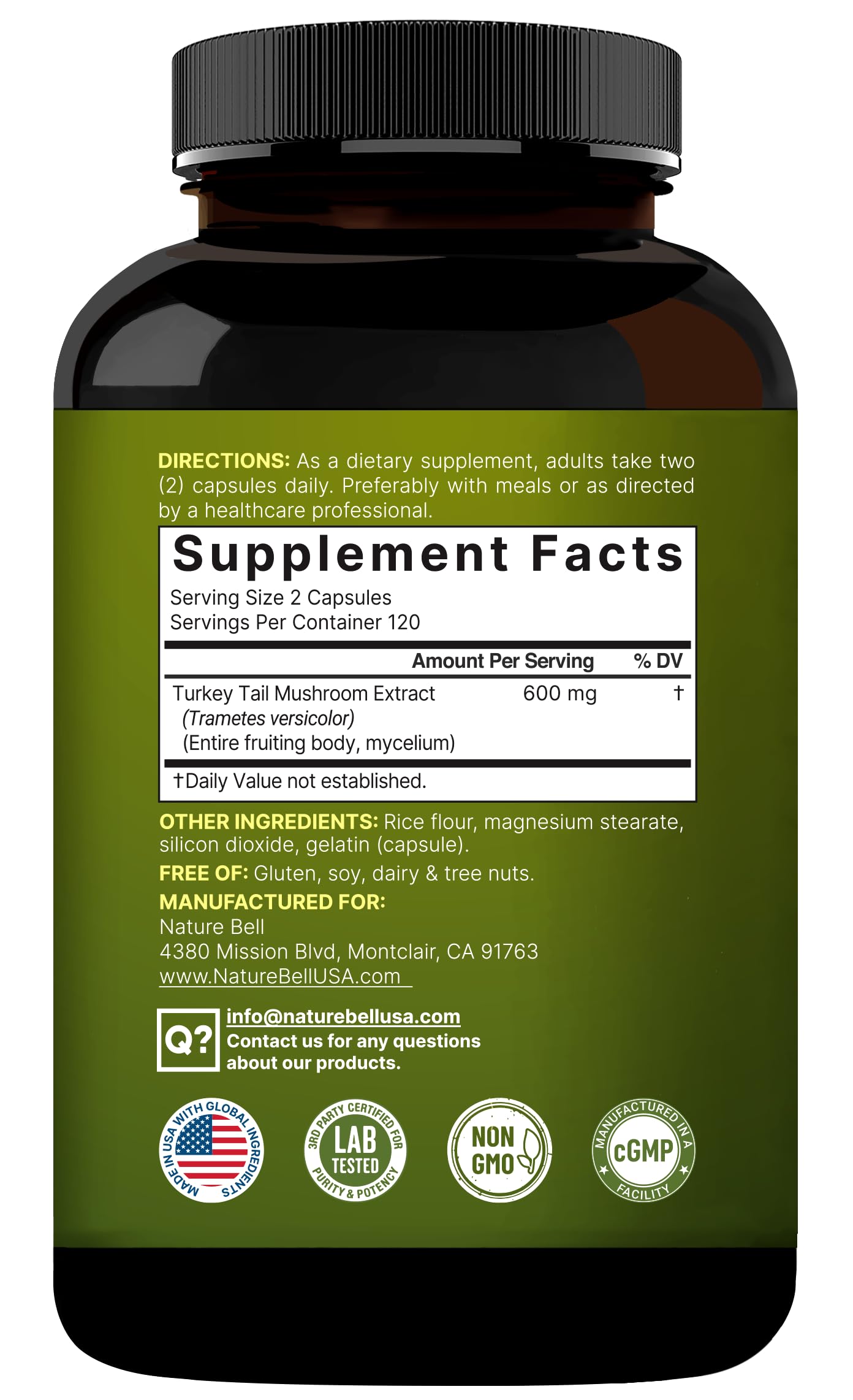 NatureBell detalle de micelio y cuerpo fructífero explicando origen