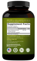 NatureBell detalle de micelio y cuerpo fructífero explicando origen