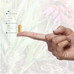 Nature's Answer primer plano del polvo del extracto, muestra pureza