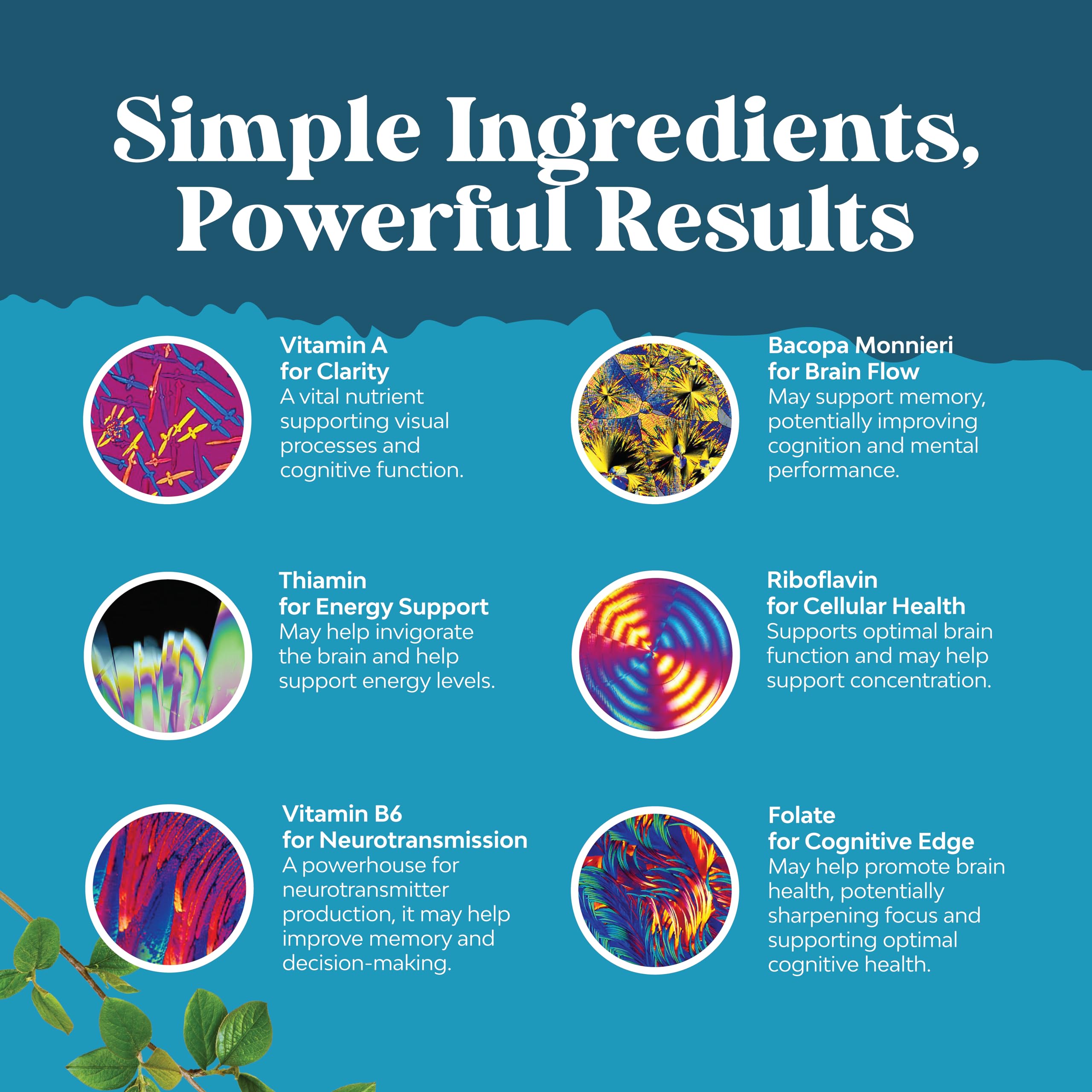 Natures Craft etiqueta con lista de ingredientes y vitaminas B