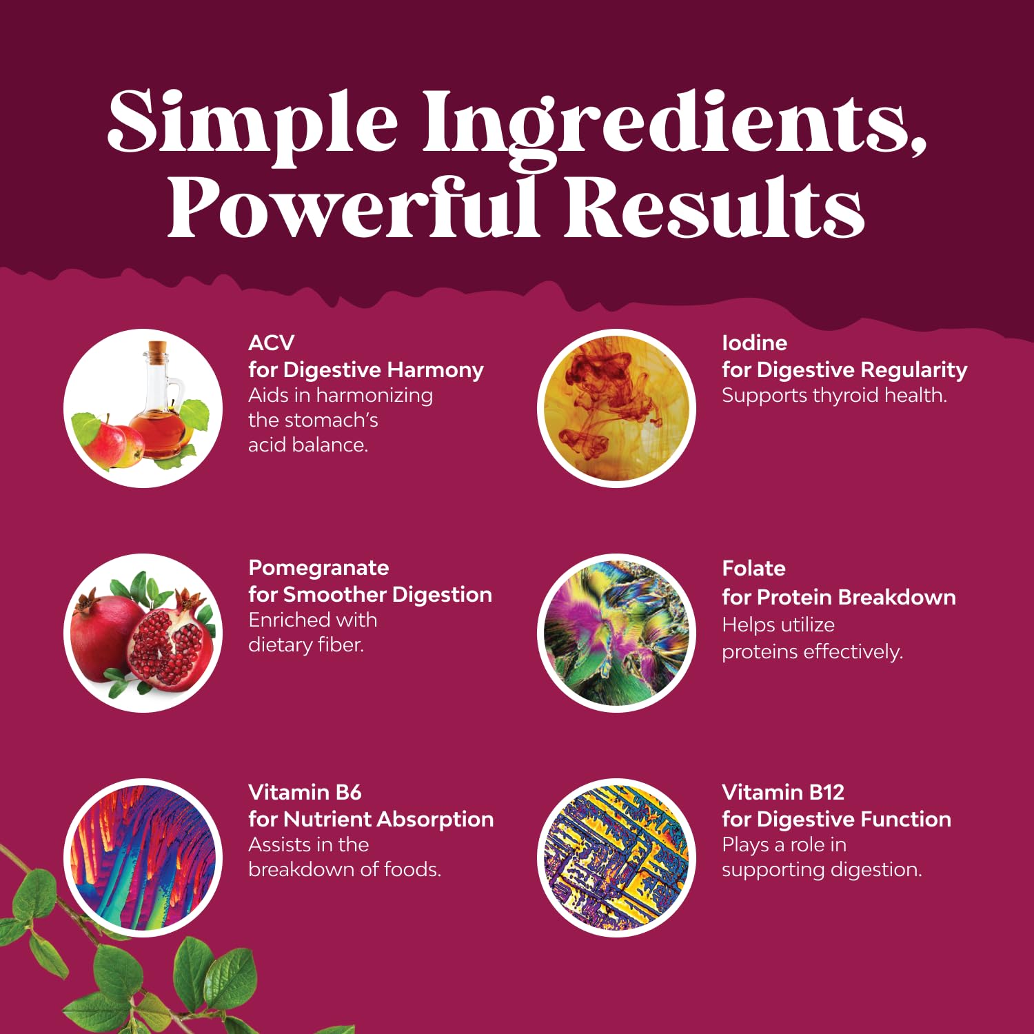 Natures Craft ingredientes clave: vinagre con mother, B12, B6 y granada beneficiosos
