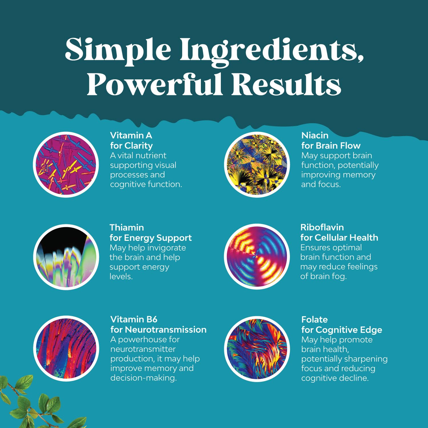 Natures Craft etiqueta lateral con lista de ingredientes y claridad informativa
