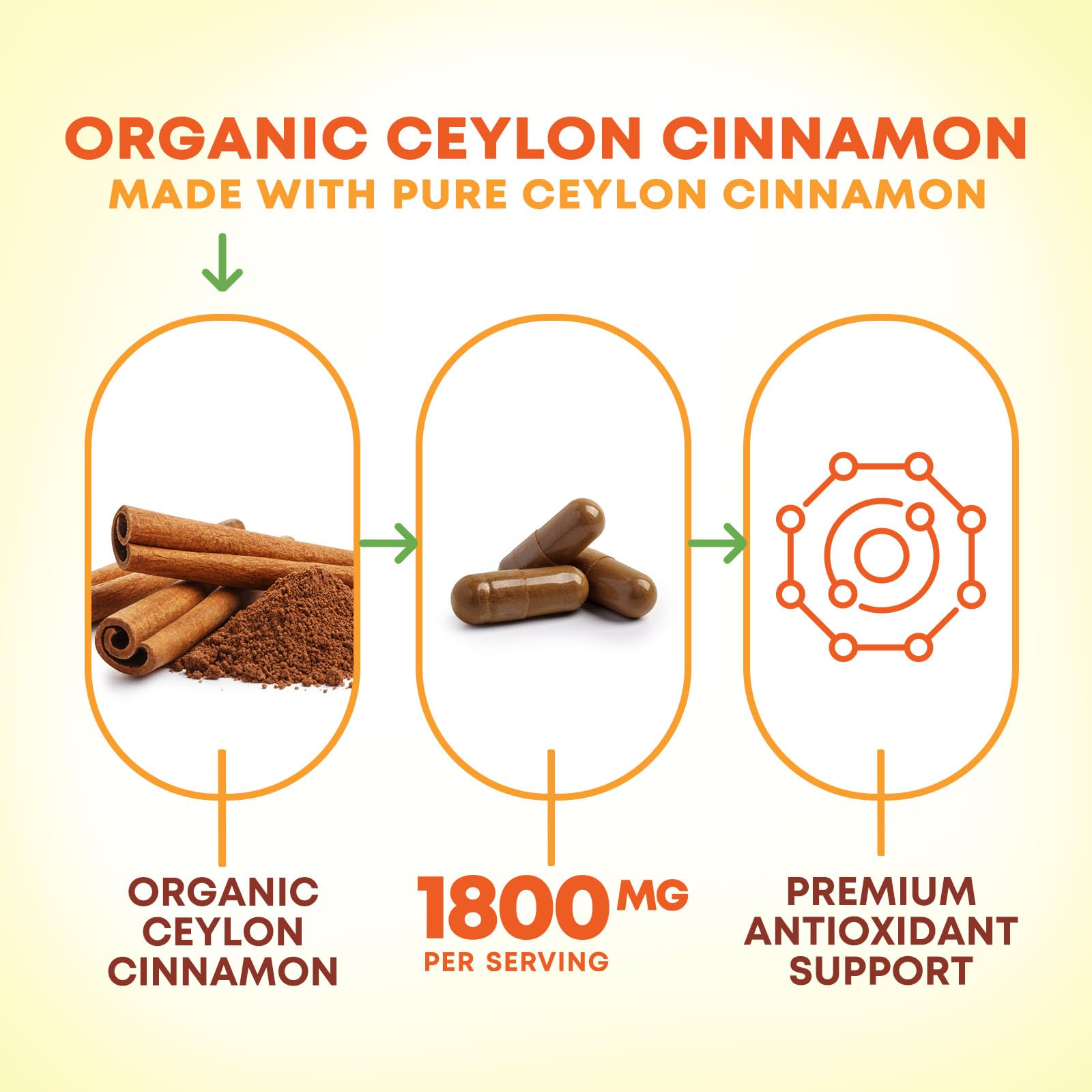 Nature's Nutrition primer plano del polvo de canela que demuestra pureza
