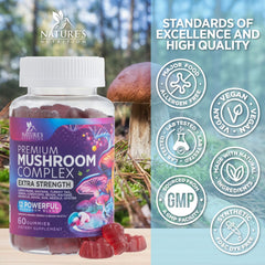 Nature's Nutrition montones de hongos secos representando ingredientes naturales