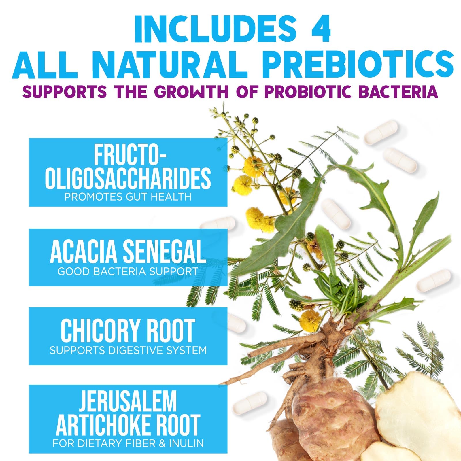 Nature's Nutrition close-up del prebiótico e ingredientes clave