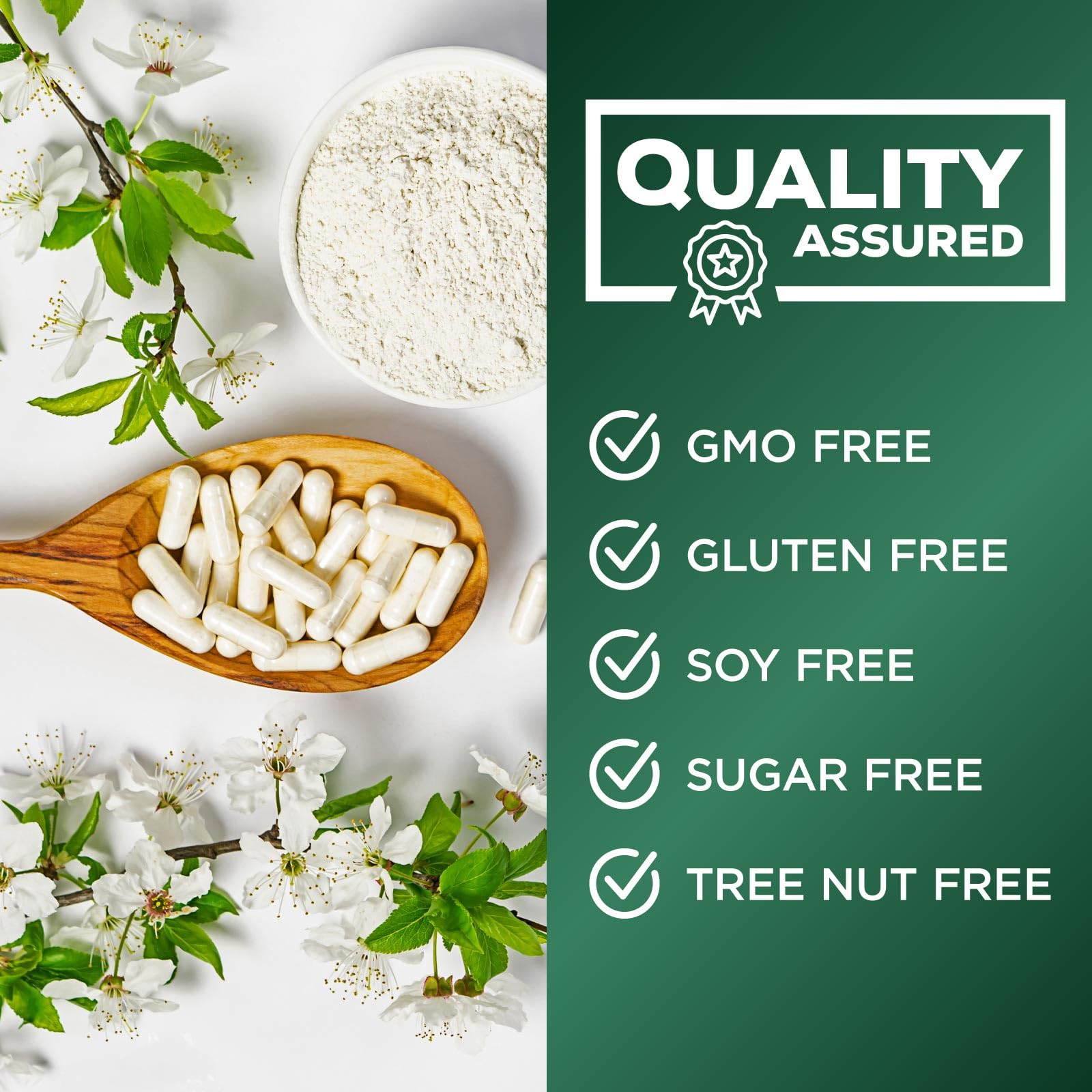 Nature's Nutrition cápsula junto a moneda para comparar tamaño fácilmente