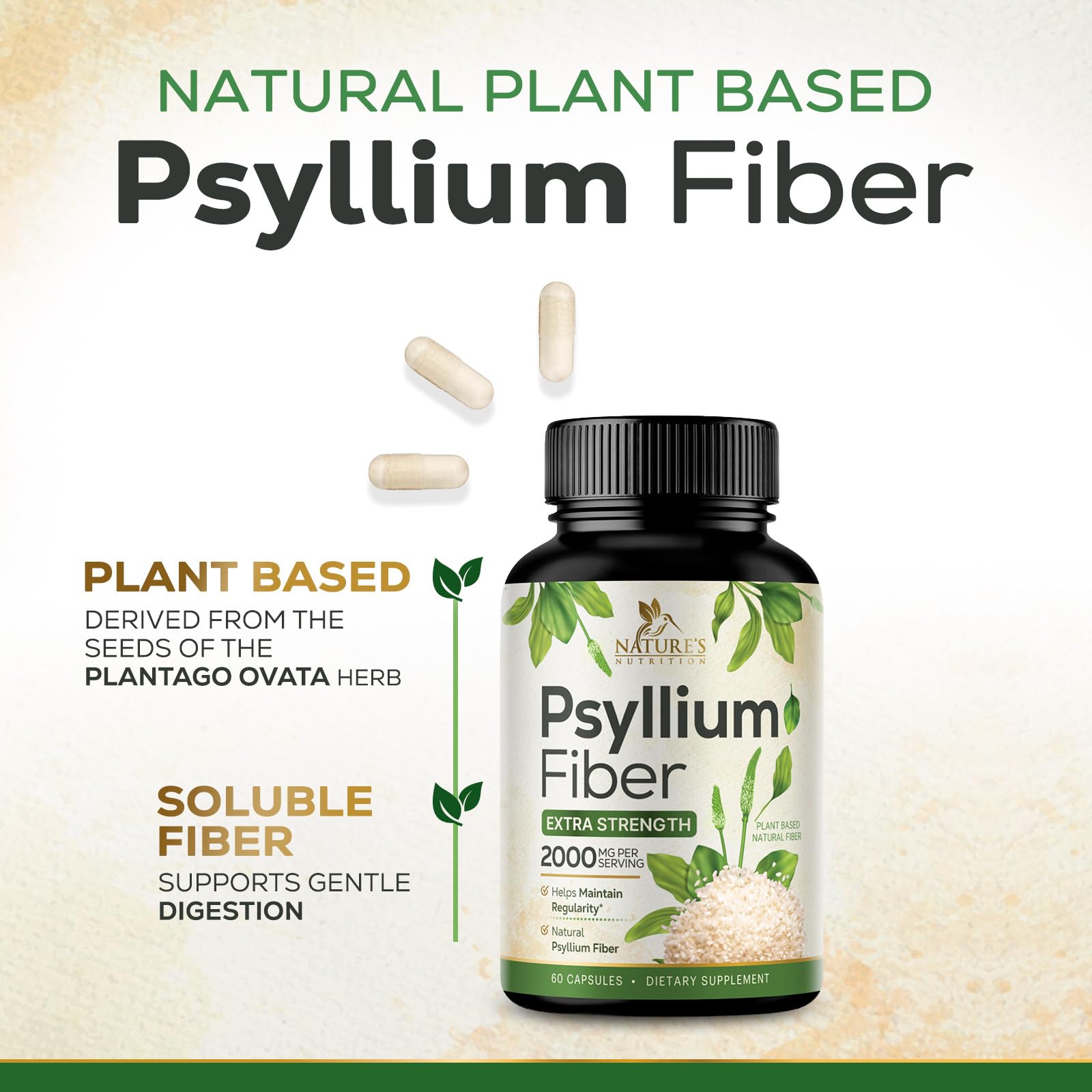 Nature's Nutrition textura del psyllium dentro de una cápsula para pureza visible