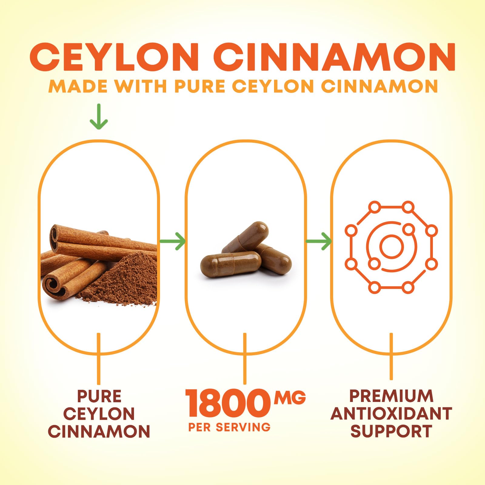 Nature's Nutrition polvo de canela Ceylán en primer plano, refleja pureza orgánica