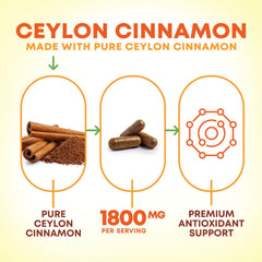 Nature's Nutrition polvo de canela Ceylán en primer plano, refleja pureza orgánica