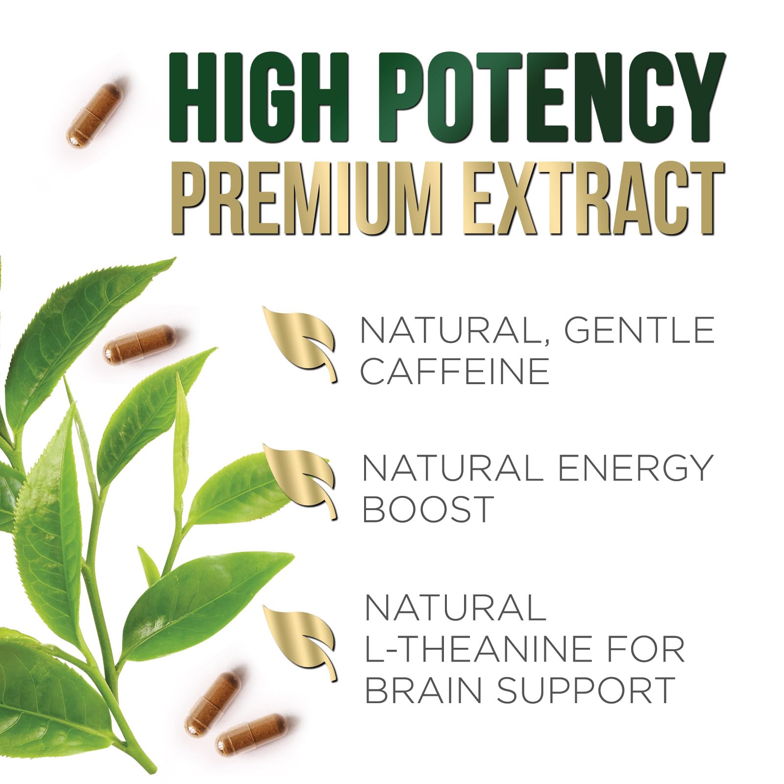 Nature's Nutrition uso matutino en escritorio que aporta energía sostenida