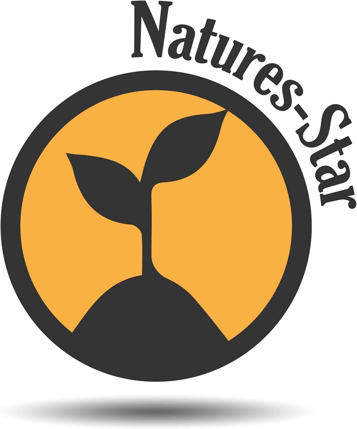 Natures-Star botella en salón decorado para aromaterapia invernal