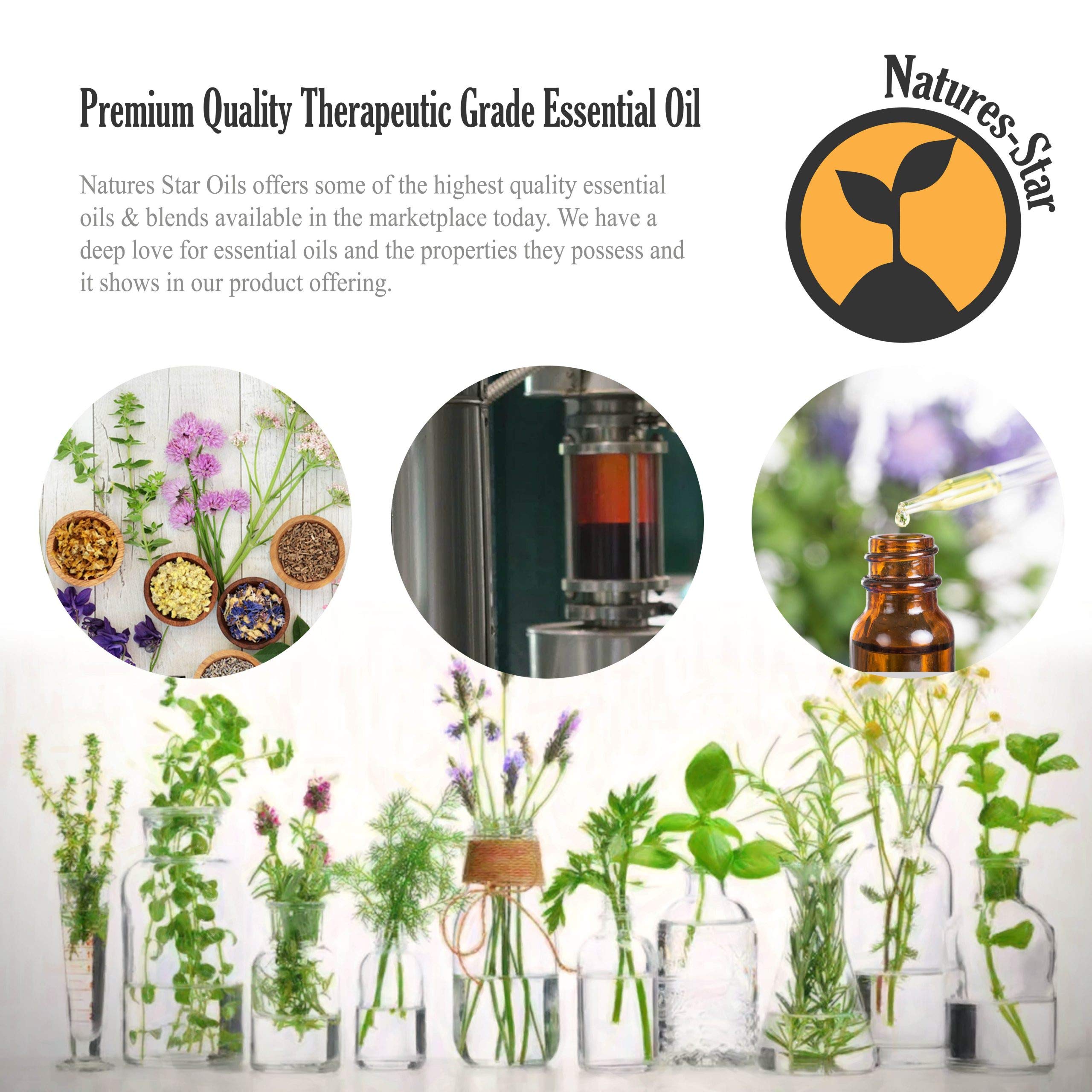 Natures-Star botella junto a difusor en funcionamiento para aromaterapia