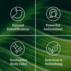 Nature's Sunshine mezcla en agua destacando beneficio prebiótico digestivo