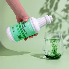 Nature's Sunshine producto en entorno saludable, uso diario y bienestar