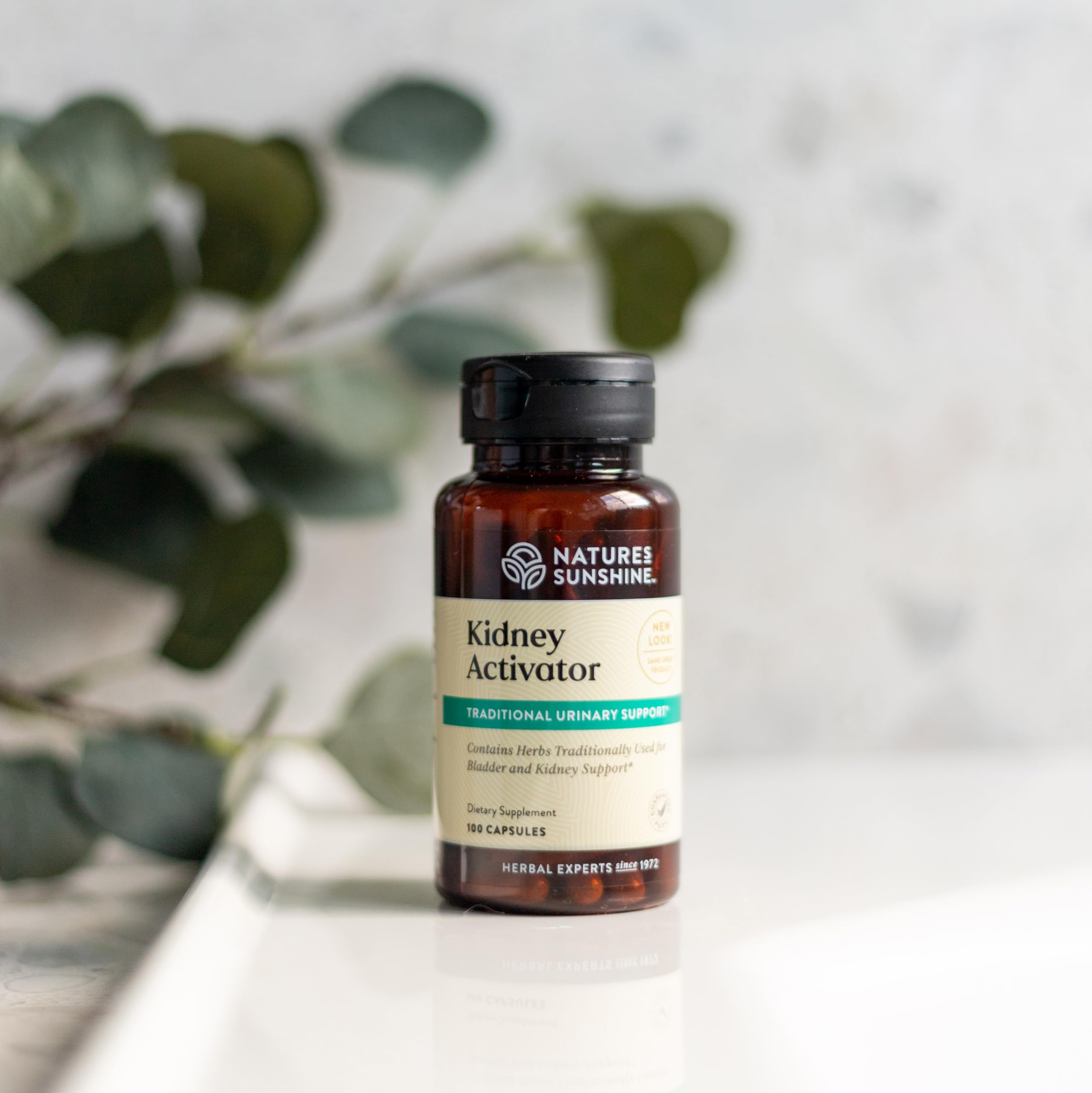 Nature's Sunshine ingredientes naturales enebro perejil uva ursi unidos para apoyo renal