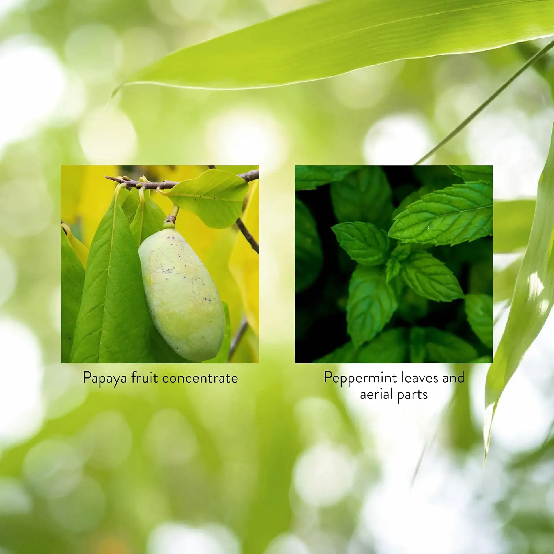 Etiqueta de Nature's Sunshine con lista de ingredientes y origen natural visible
