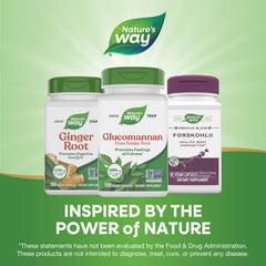 Nature's Way producto en cocina indicando integración con rutina diaria saludable