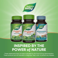 Nature's Way planta goldenseal en su hábitat sombreado que evidencia origen natural