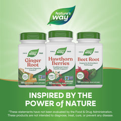 Nature's Way producto en cocina estilo vida mostrando uso integrado en rutina diaria