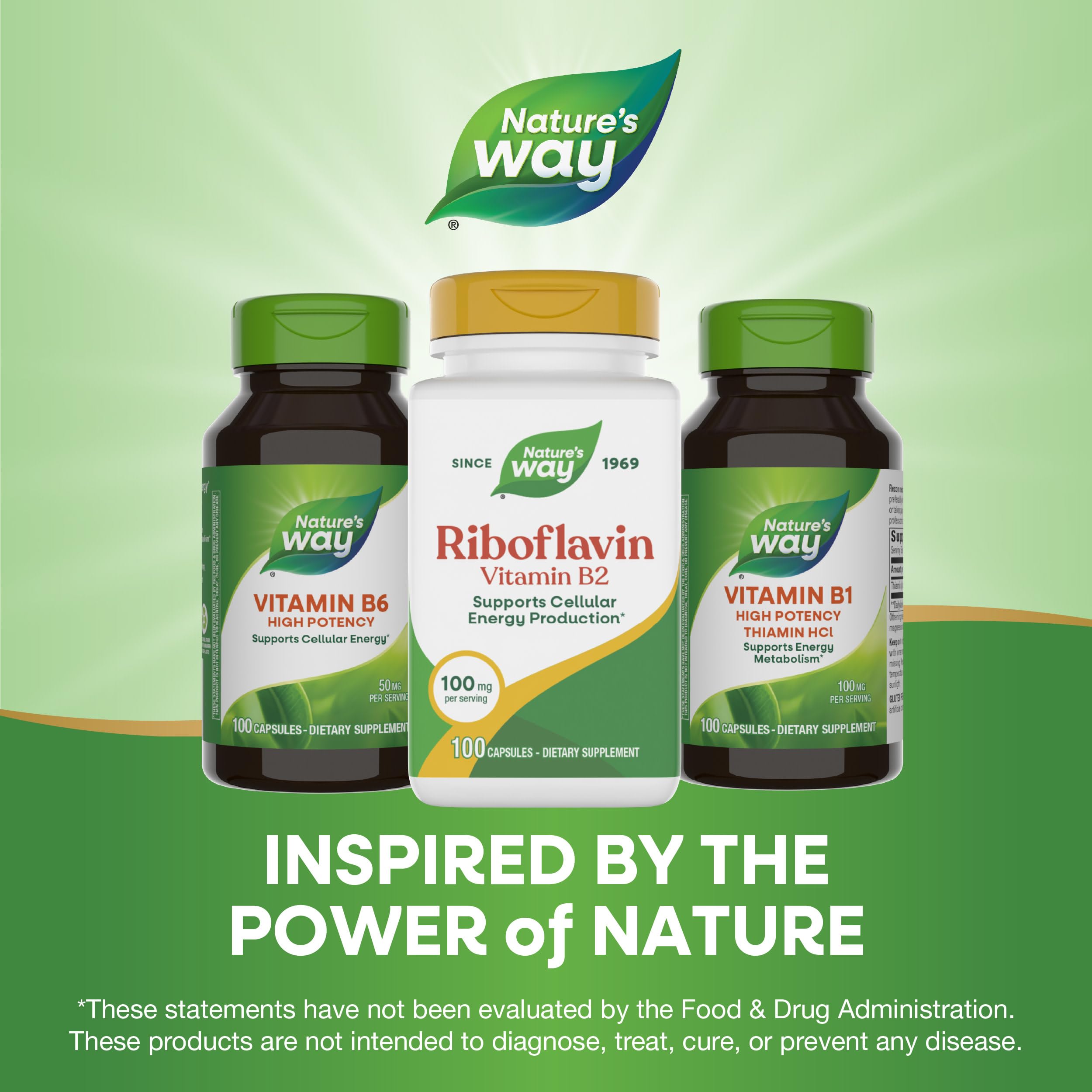 Nature's Way cápsula junto a una moneda para comparar tamaño y dosificación