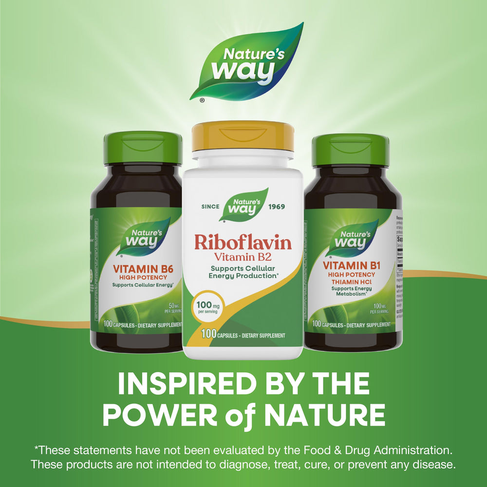 Nature's Way cápsula junto a una moneda para comparar tamaño y dosificación