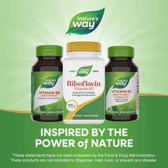 Nature's Way cápsula junto a una moneda para comparar tamaño y dosificación