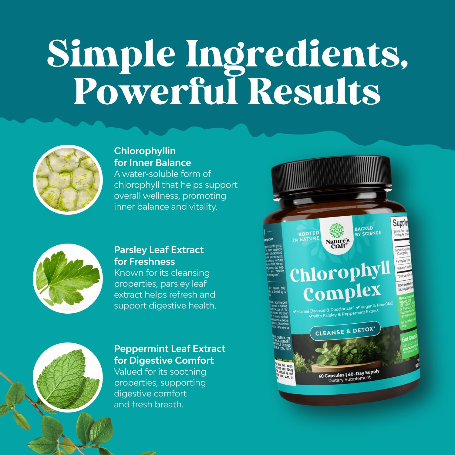 Natures Craft menta y perejil frescos que complementan la clorofila