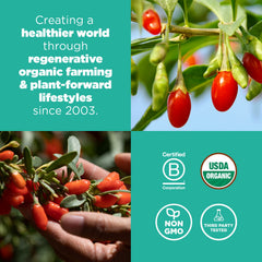 Navitas Organics comparación de tamaño de porción con mano