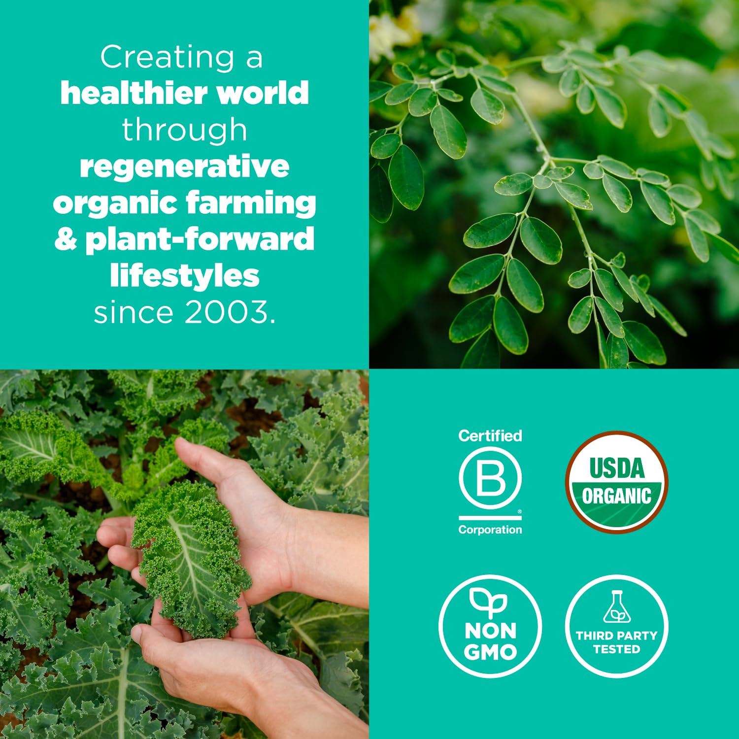 Navitas Organics etiqueta con certificaciones orgánicas y sin OGM visible y confiable