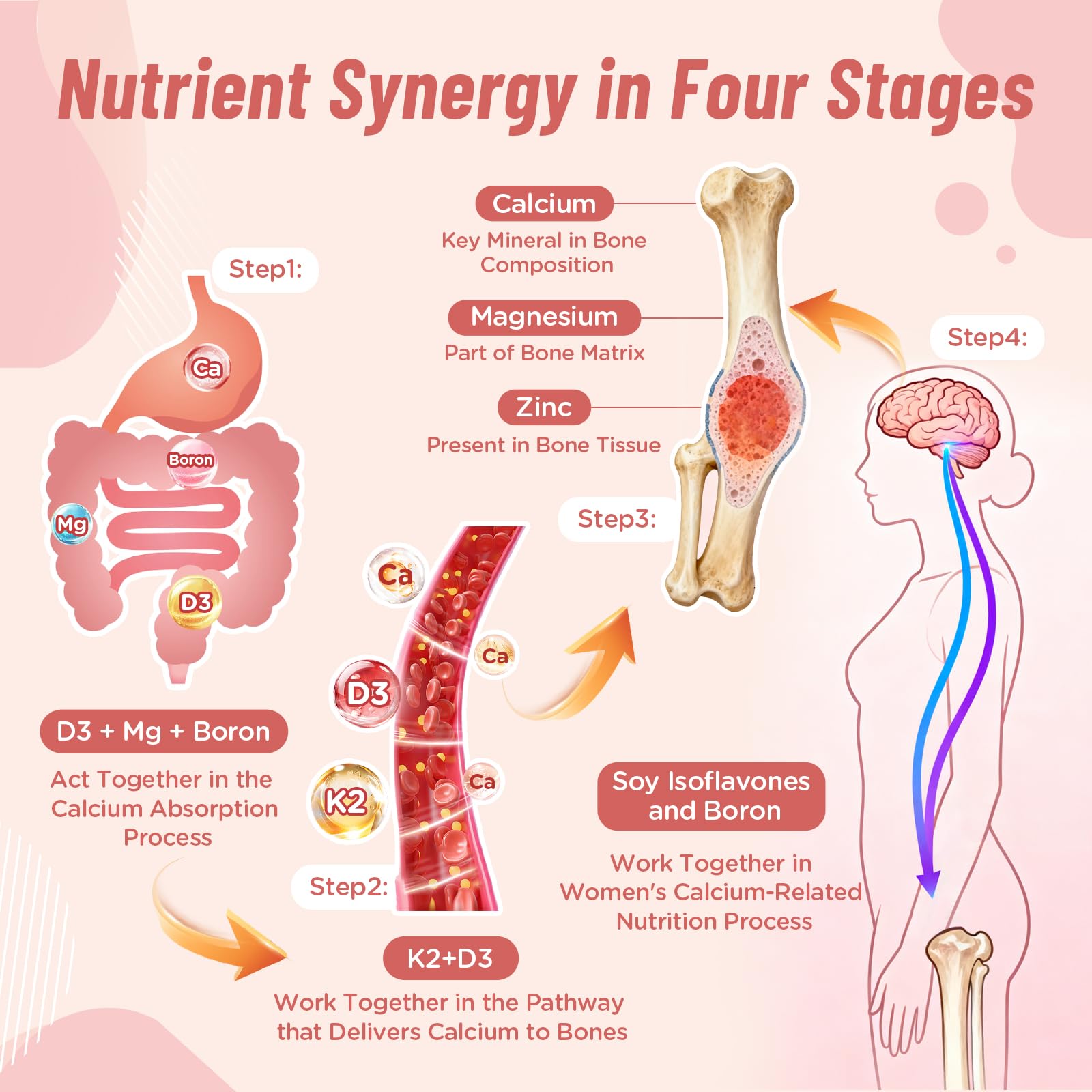 Detalle de textura de gomita Nepeolithia, fácil masticación y digestión