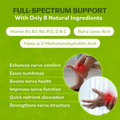 Neuro Health composición de ingredientes clave sobre fondo neutro