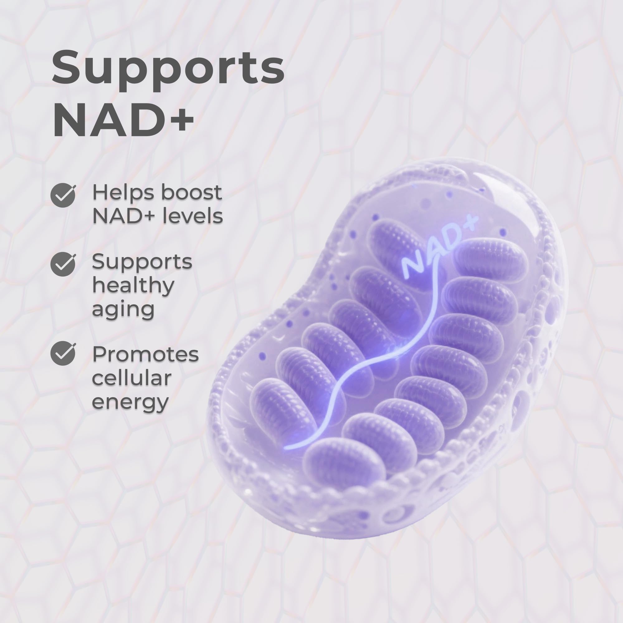 Neurogan Frasco de 60 porciones para uso diario