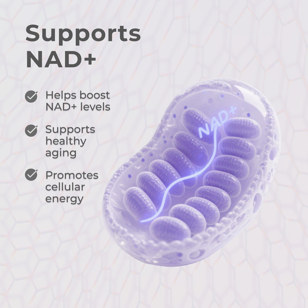 Neurogan Frasco de 60 porciones para uso diario