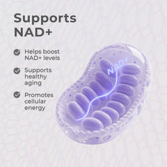 Neurogan Frasco de 60 porciones para uso diario