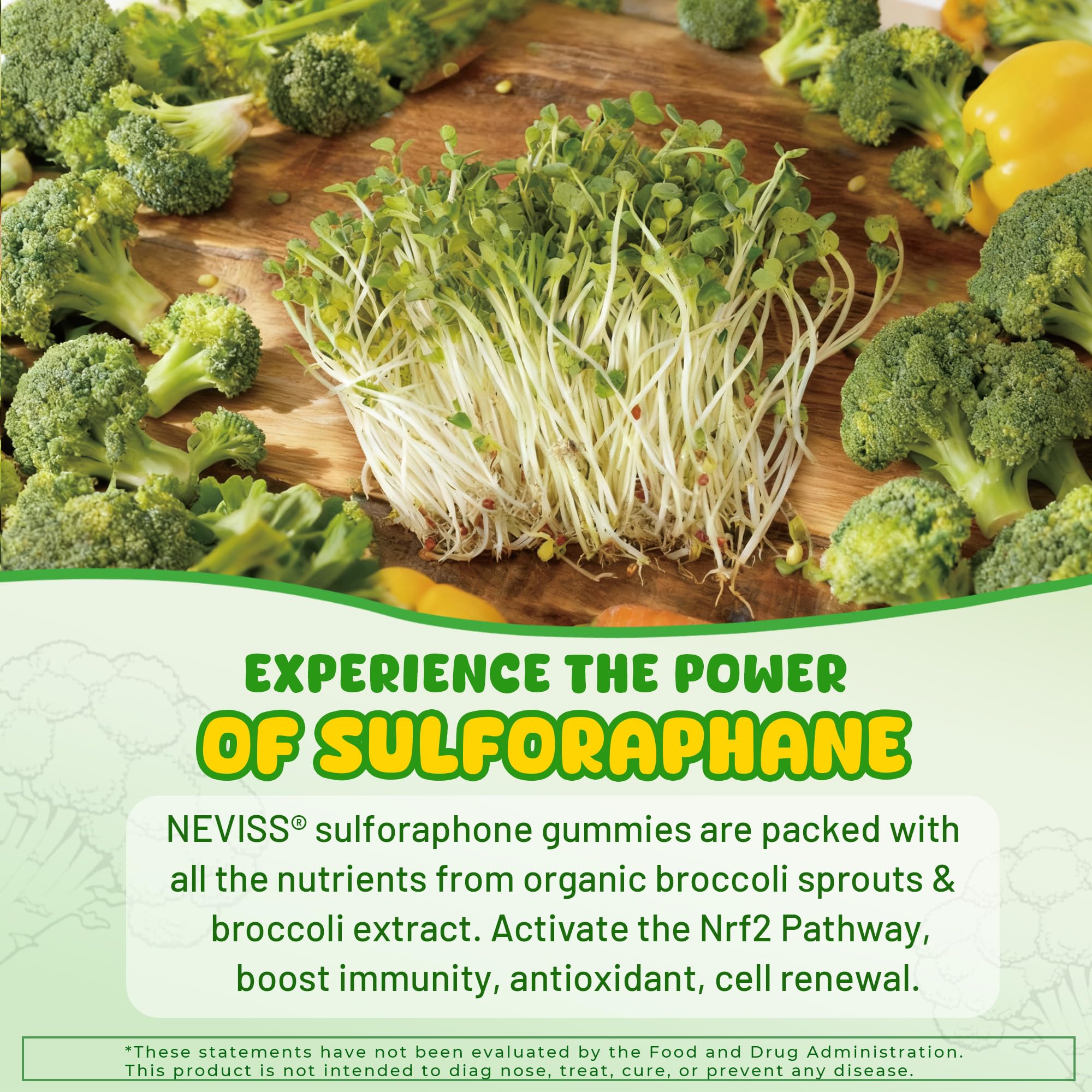 NEVISS ingredientes superalimentos ilustrados para aporte nutricional