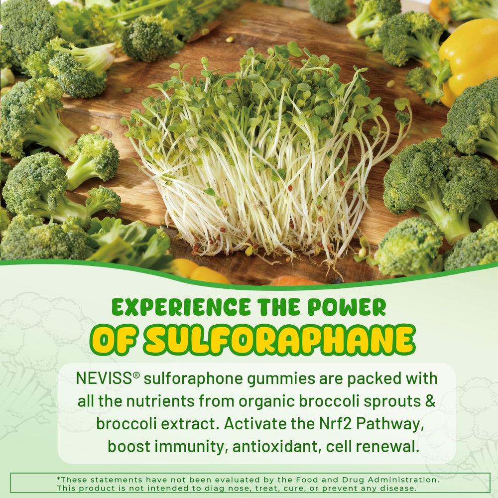 NEVISS ingredientes superalimentos ilustrados para aporte nutricional