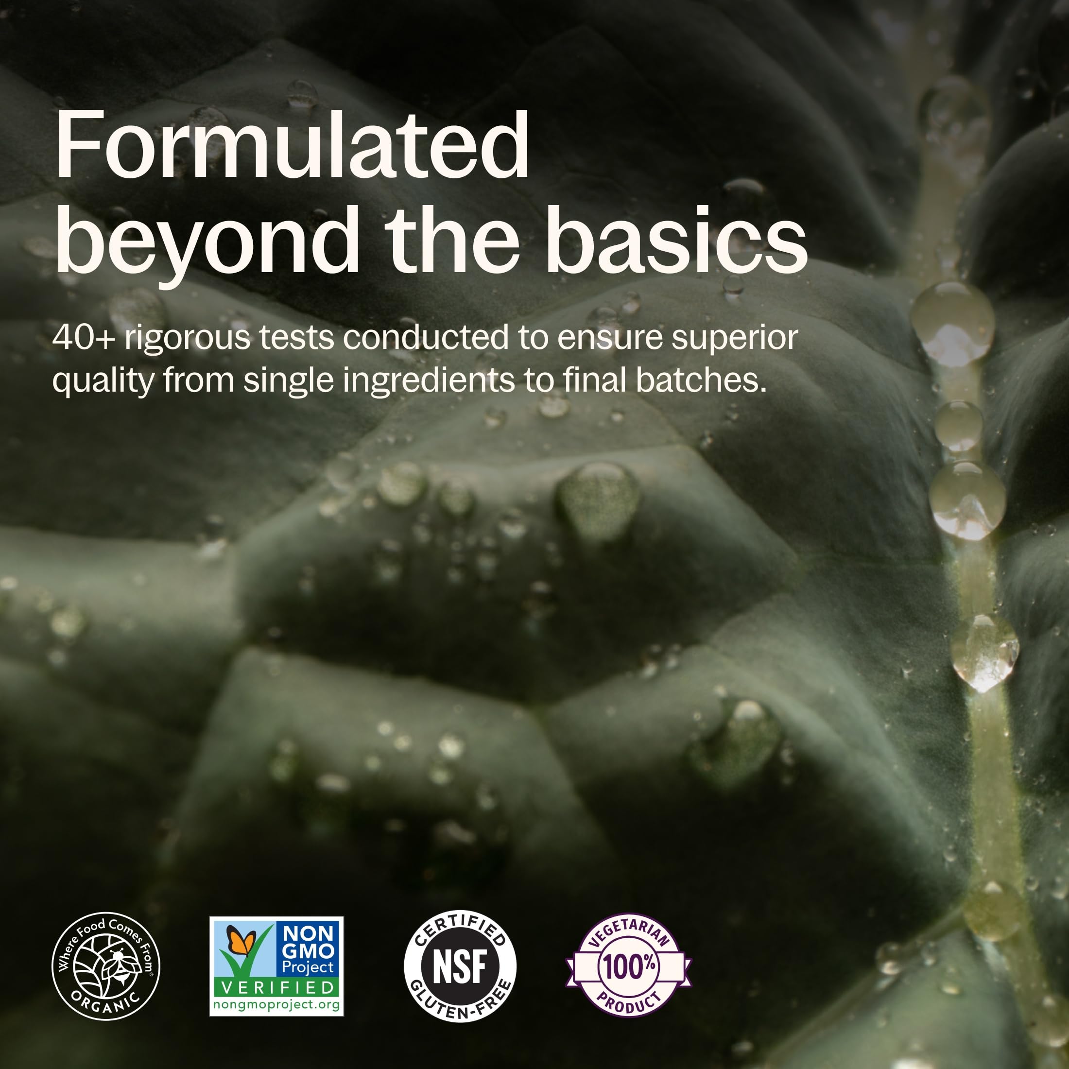 New Chapter frasco sobre fondo natural transmitiendo origen vegetal